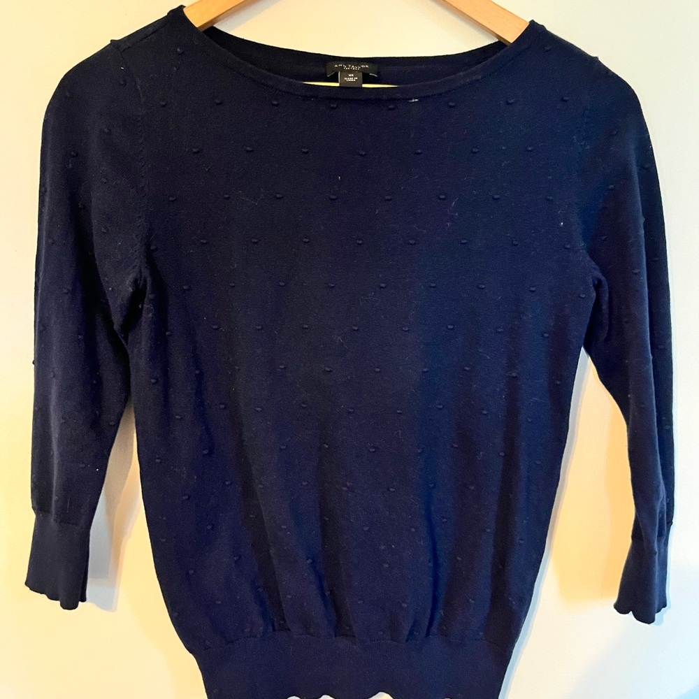 Navy Blue Sweater by Ann Taylor